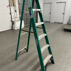 6 Foot Ladder 