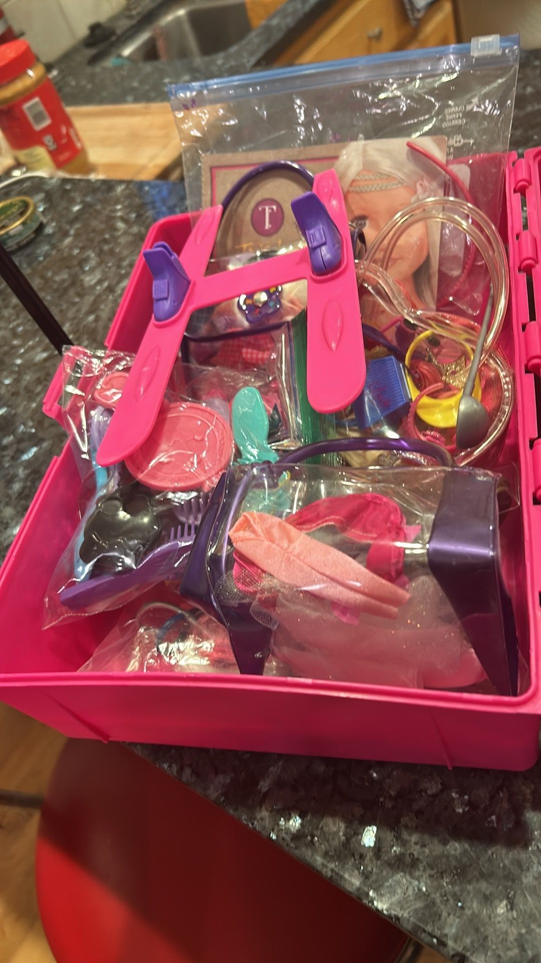Barbie Closet And Lots Of Accessories