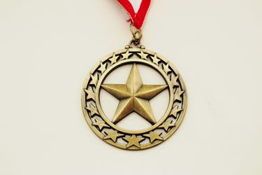 Star Martial Arts Metal