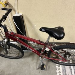 Schwinn 25 Inch Mt Bike