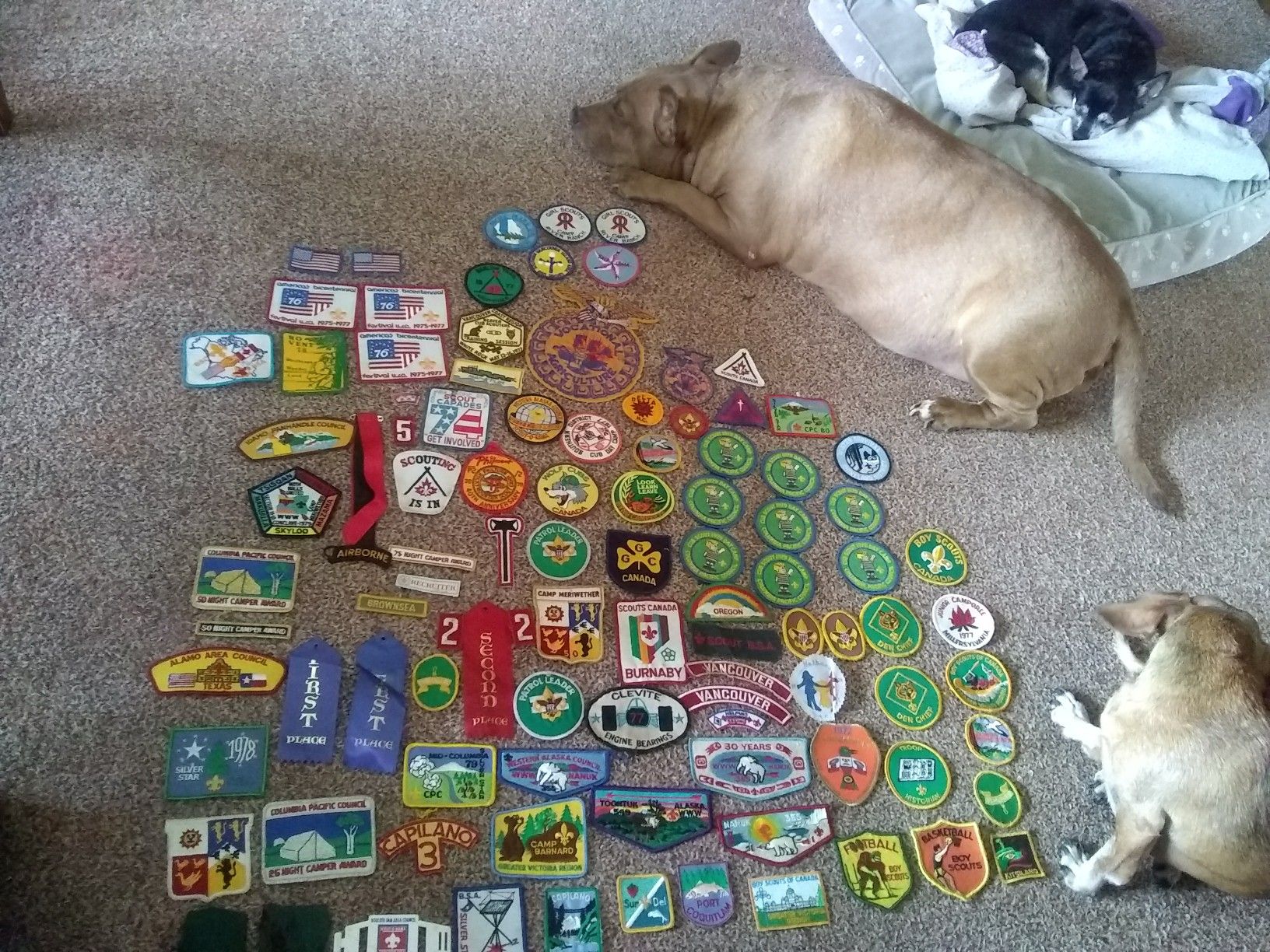 Boy Scout memrobilia 102 pieces make offer or trade