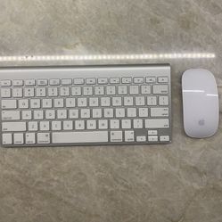 Apple Magic Mouse And Wireless Keyboard 