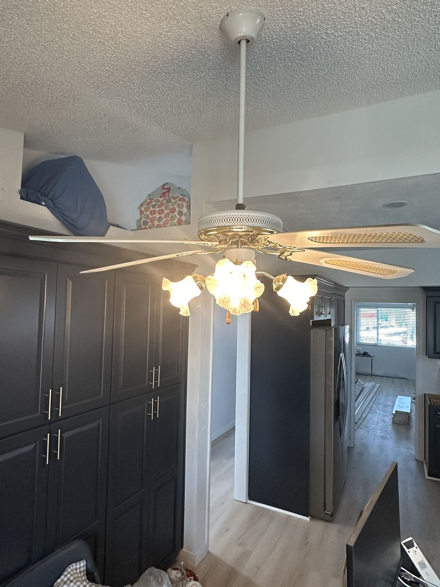 Ceiling Fan