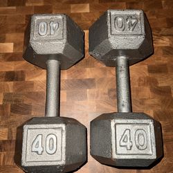 40 Pound Dumbbells 