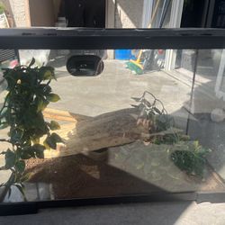 Reptile Tank 