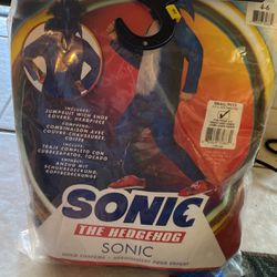 Sonic Costume 