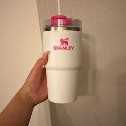 Limited Edition Target x Stanley