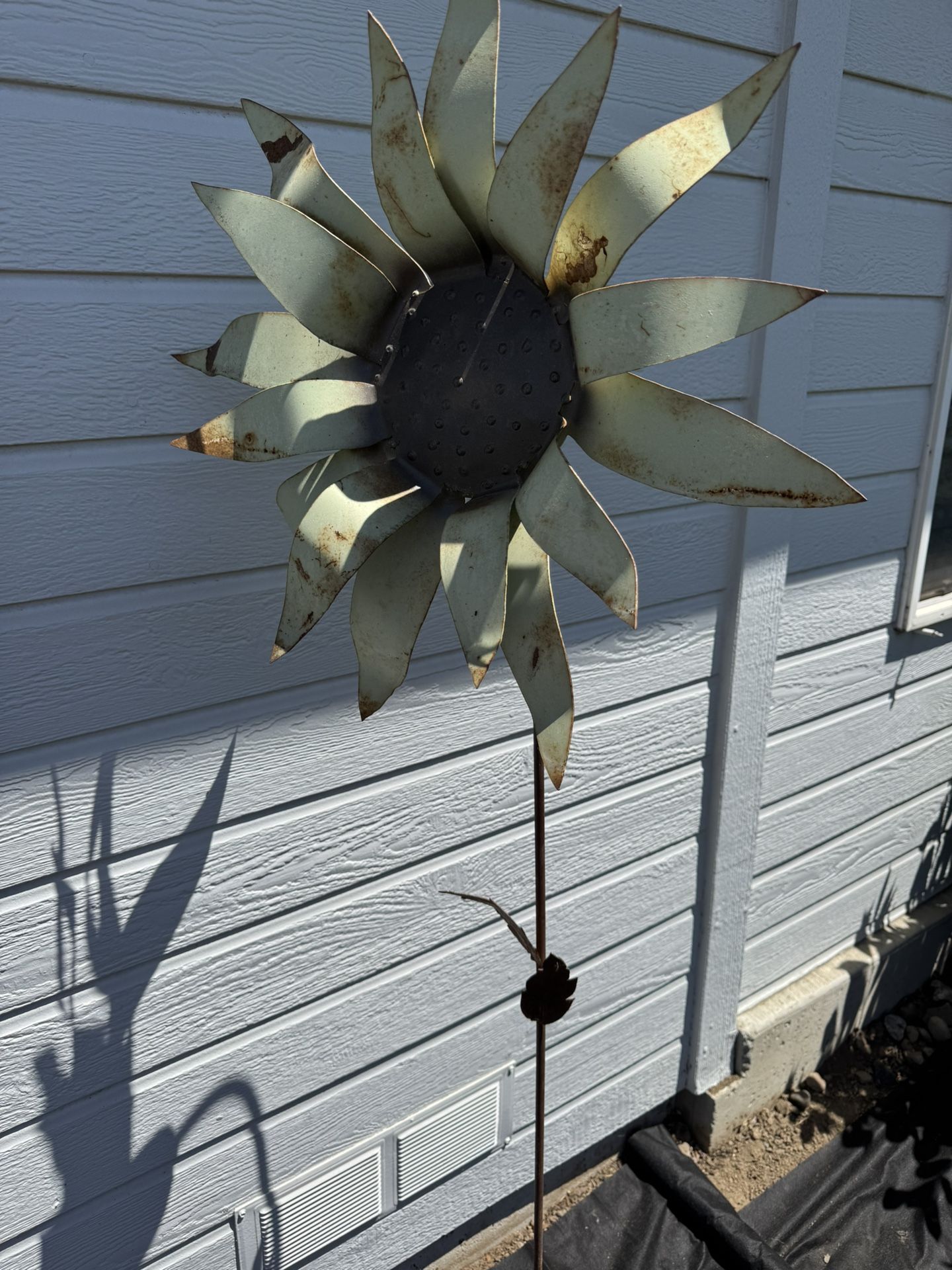 Rustic Garden Sunflower