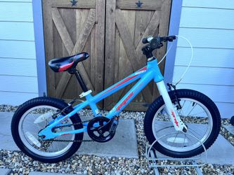 Beautiful Stampede Sprinter 16 Kid’s Bike, 