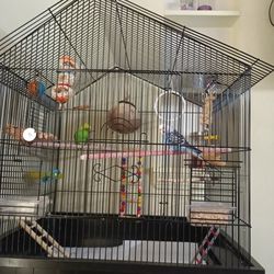 Bird With Cage 