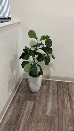 Fake plant decoration