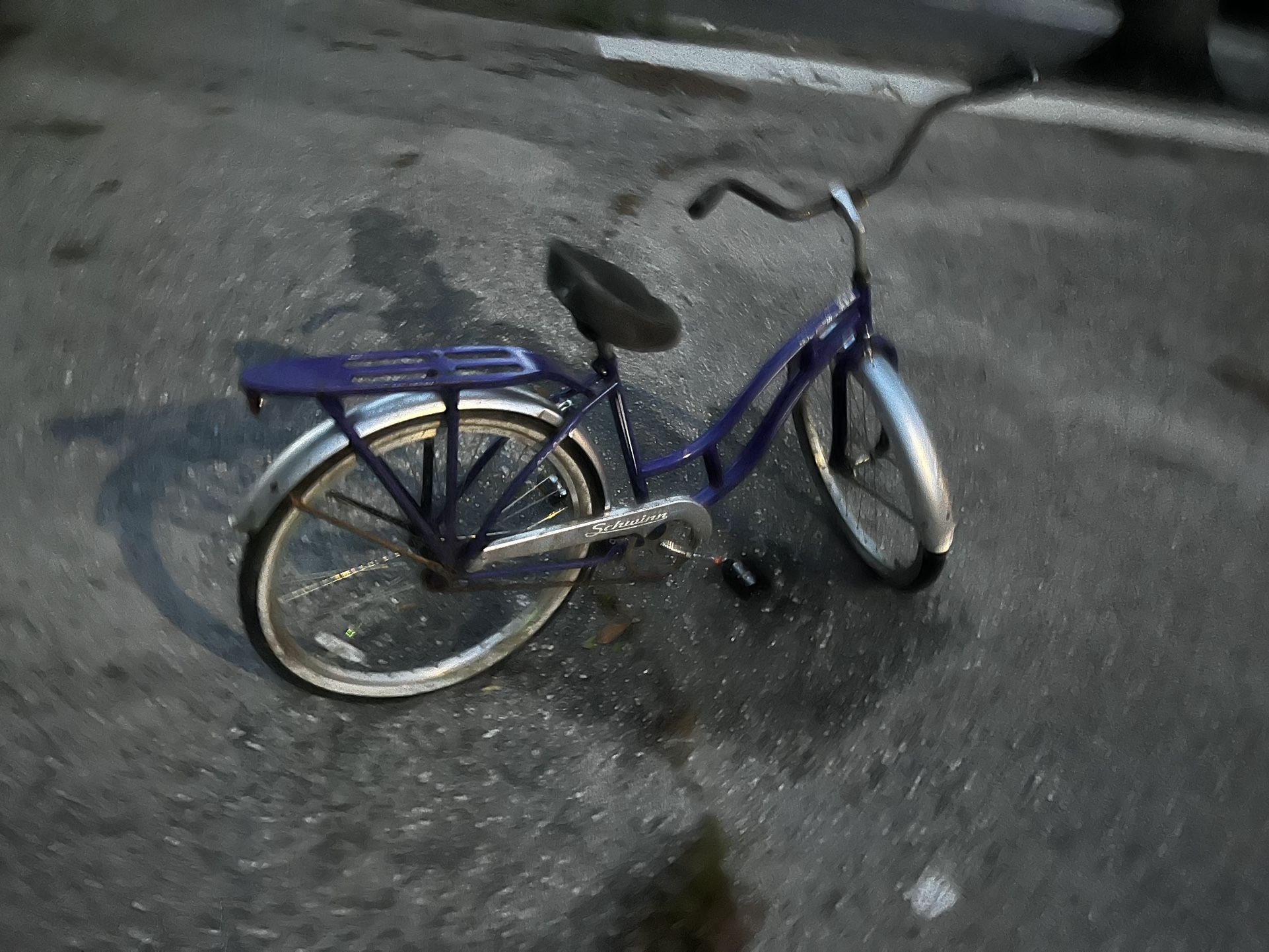 Schwinn Delmar