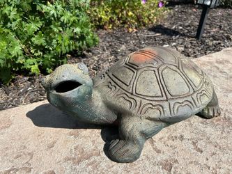 Large garden turtle