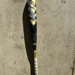 2021 Louisvile Slugger Meta (flexible on price)