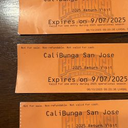 3 Calibunga Tickets 