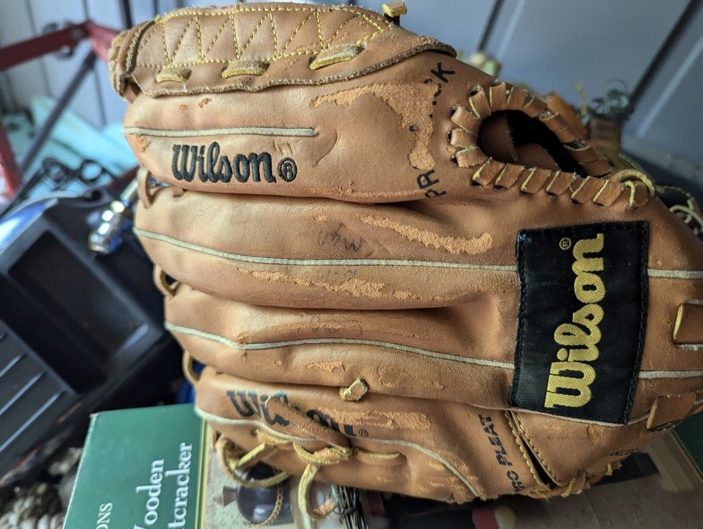 2 Baseball Gloves