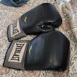 Everlast Boxing Gloves