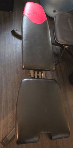Bowflex bench.