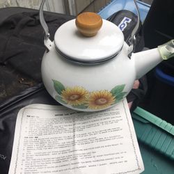 New teapot only $10