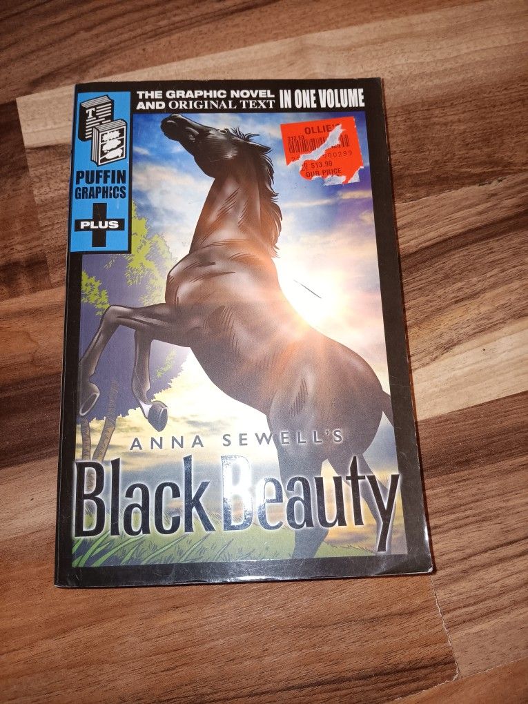 Black Beauty By Anna Sewells
