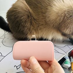 Mini Portable Charger – Pink