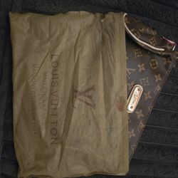 Louis Vuitton Monogram Eva Clutch Bag