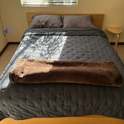 Bed Frame 