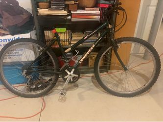 Conquest Mountain Bike ($100 or best offer)