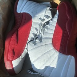 Jordan Cherry 12s