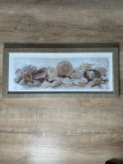 Framed Seashell Wall Art Print