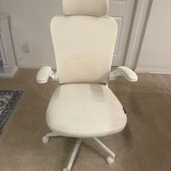 OLLIO Cream Mesh Ergonomic Office Chair