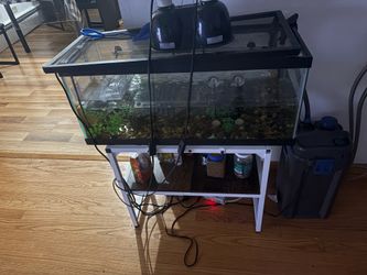 Turtle kit and tank