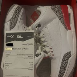Jordan 3s Hall of Fame