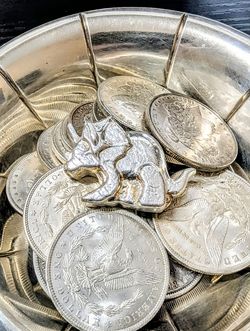 Triceratops dinosaur silver poured - cash local pickup