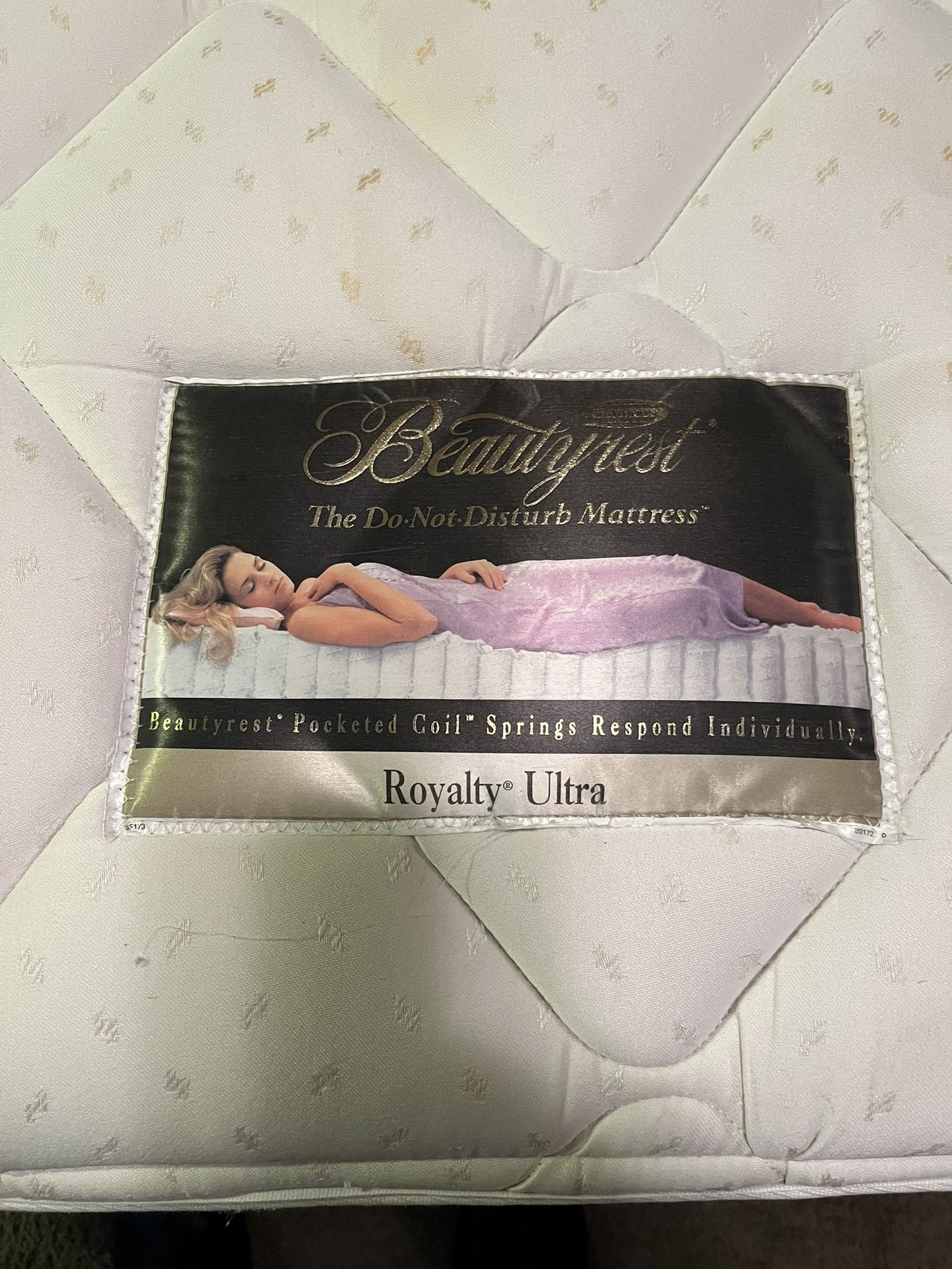 Beautyrest Queen Mattress Box Springs And Frame 