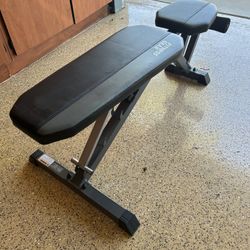 Adjustable Dumbbell/Barbell Set And Fitness Gear Pro Utility Bench