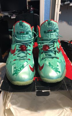LeBron 11’s size 14