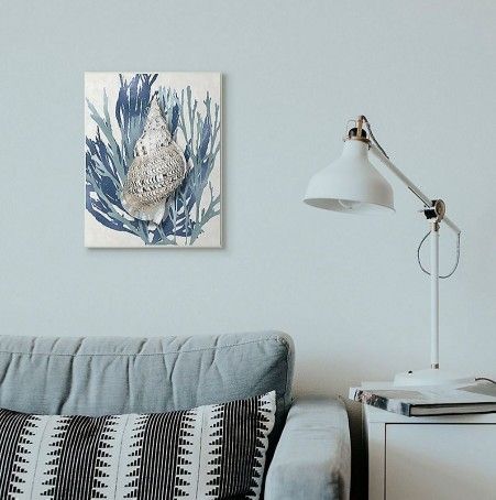 Shell Coral Framed Wall Art