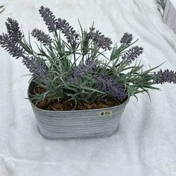 Home Decor- Flowers- Vases