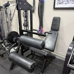 Bodymasters Seated Leg Curl