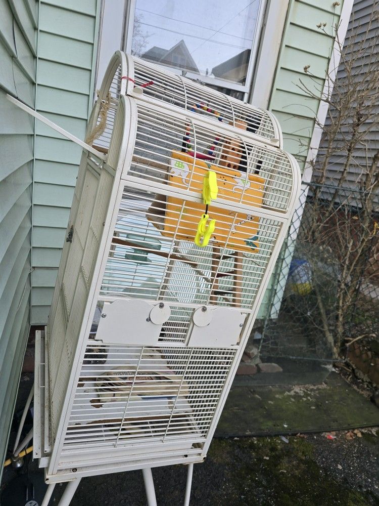 Bird Cage