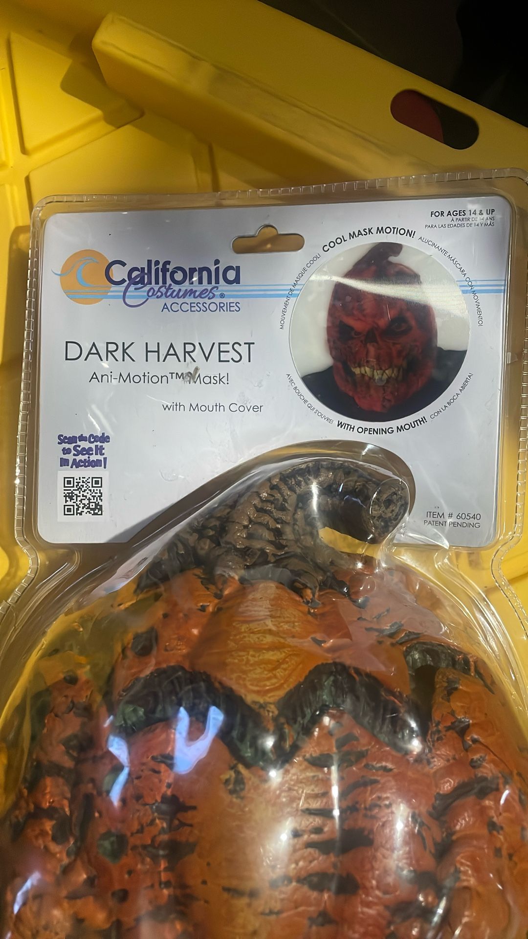 Pumpkin mask
