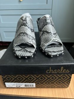 Charles By Charles David -6 1/2M