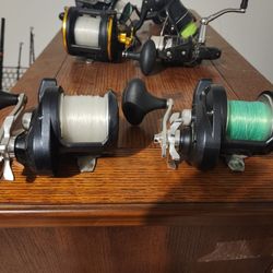 2 Shimano Torium 20's