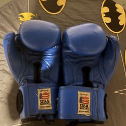 Everlast Boxing Gloves