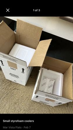 Styrofoam Cooler In Cardboard Box W/cold Paks