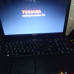 Toshiba Laptop For Sale 