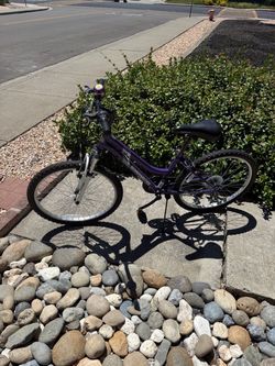 Roadmaster Purple Mountain Bike 23 inch