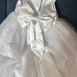 Flower Girl dress And Shoes 