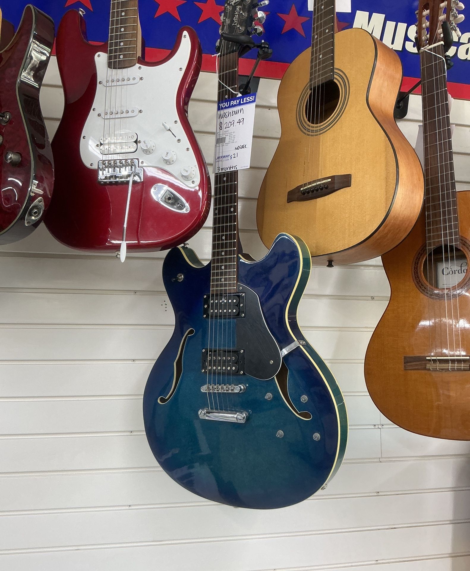 Washburn Guitar